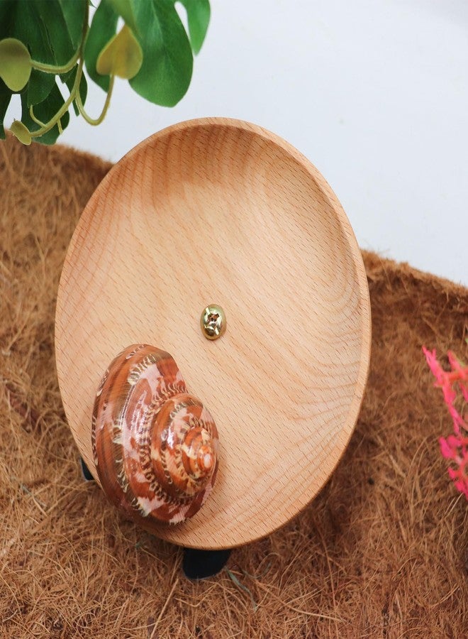Oooct Hermit Crabs Wheel Toy, Hamster Running Wheel Toys, Small Animals Cage Accessory, Tank Accessory, Suitable for Hermit Crab Hamster Rat - Image 2